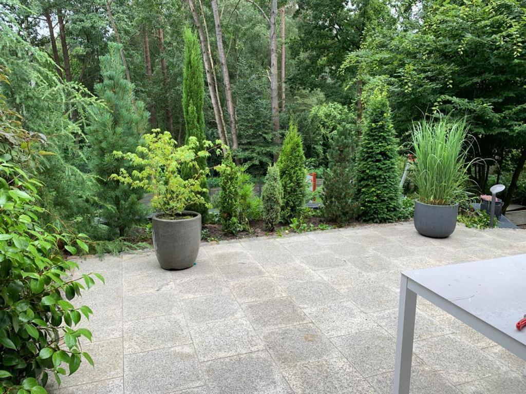 Ferienhaus Bendestorf, Waldweg 38,Naehe Hamburg Exterior foto